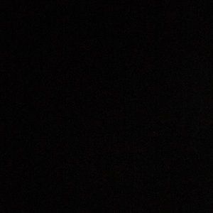 Meet your Posher, Dayanara